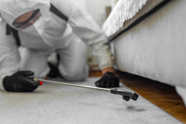 Professional Emergency Pest Control technician working in Glasgow Village, MO