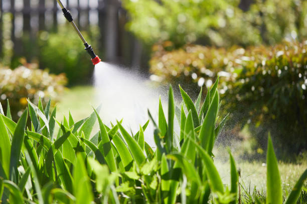 24/7 Emergency Emergency Pest Control experts in Glasgow Village, MO
