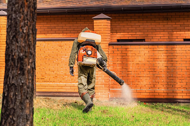 Trusted Termite Control service in Glasgow Village, MO - Nex Pest Control